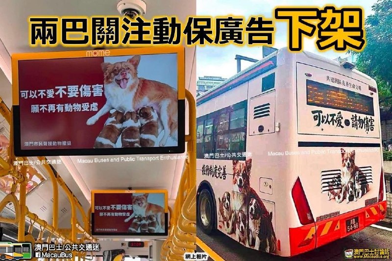 后续：8月2日，澳门非官方交通资讯专页“澳门巴士公共交通迷”发文称，澳门两家巴士公司的相关动物保护公益广告目前已停止展示