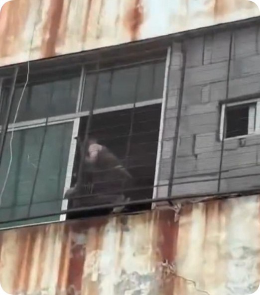 福建晋江鞋厂火灾造成28人死亡后，有网友通过百度地图历史街景发现，涉事厂房正面看起来较为正规，但背面却长期被铁网、铁皮和杂物封堵
