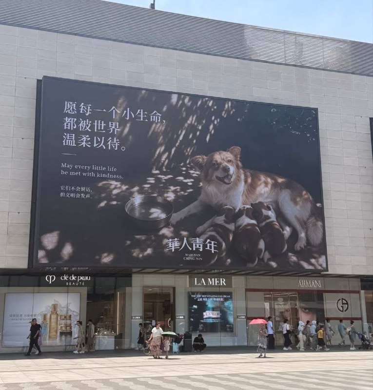 后续：近日，全国多地爱心网友和商家自发组织，在纽约时代广场、香港旺角、厦门、山东潍坊、深圳、杭州等地的户外大屏、商场大屏及健身房广告位，投放受害小狗“旺旺”及其幼崽的公益宣传画面