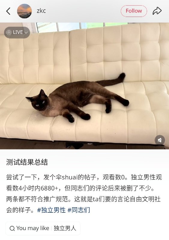 【性别叙事反讽词“散帅”遭多平台审查】 近日，“散帅”一词及相关话题在多个社交媒体平台遭审查