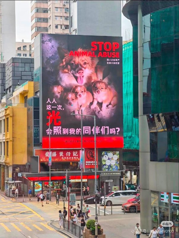 揭阳虐狗事件发生后，杭州西湖边银泰In77的巨屏和商场店铺，以及香港等地，纷纷展示巨幅海报、为遭虐杀至死的母犬旺旺及其幼崽发声