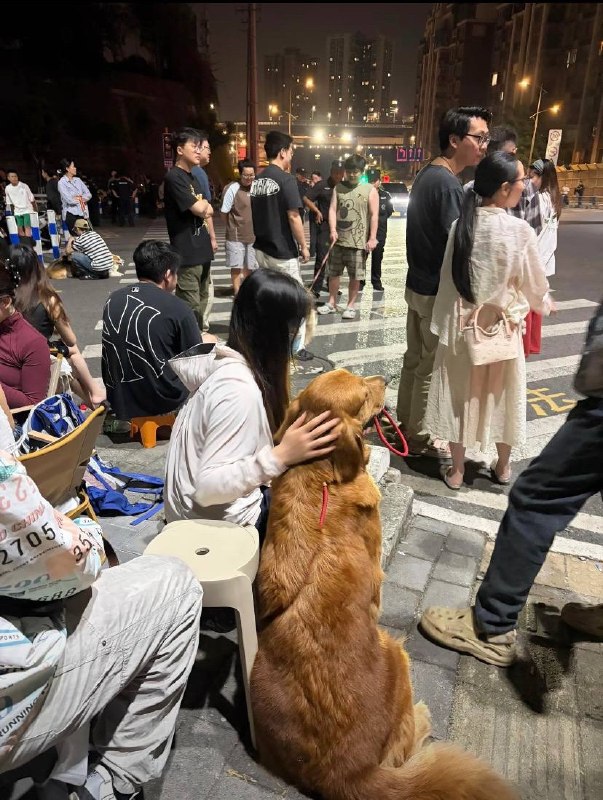 6月11日凌晨，重庆虐狗事件抗议现场依然坚守在现场，席地而睡的志愿者们
