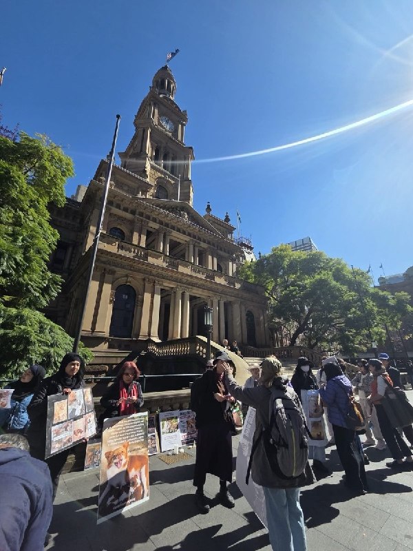 8月22日，澳大利亚悉尼，有民众在悉尼市政厅（Sydney Town Hall）前举行声援“旺旺”的活动