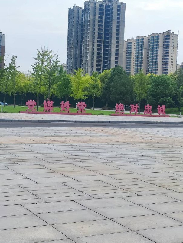 8月13日，有网友展示了在某地广场拍摄的“党媒姓党，绝对忠诚”的标语，评论区大量网民使用表情包冷嘲热讽