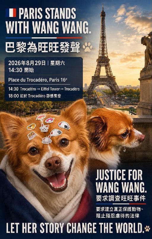 8月14日，美国芝加哥和洛杉矶举行“为旺旺讨公道”（Justice for Wang Wang）集会与游行，声援不久前在“广东揭阳学童虐狗案”中被虐杀的小狗旺旺
