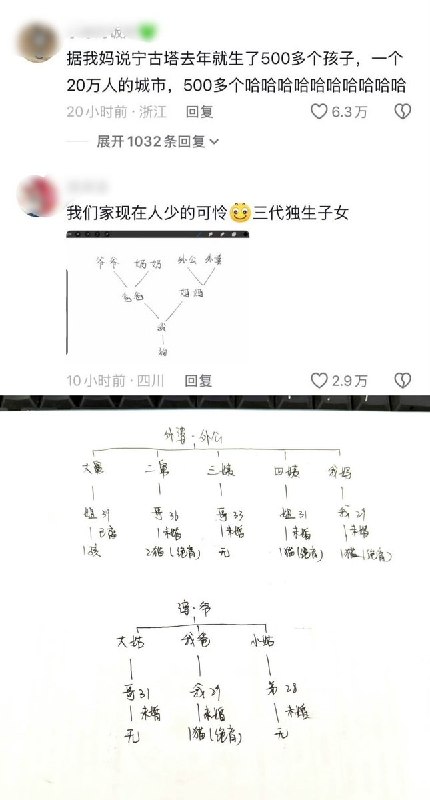 “我们是最后一代”近日，一名黑龙江网友画起自家族谱解释“为什么黑龙江不用公布出生率”：父母一代还有多名兄弟姐妹，到了90后、00后一代，却多人未婚、无子女