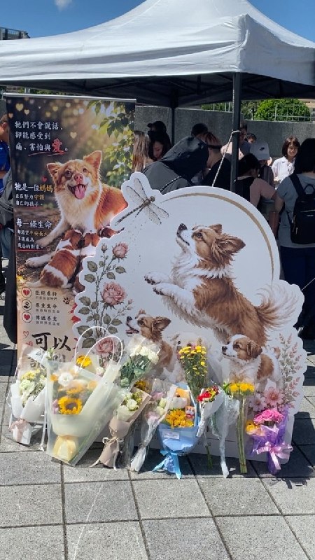9月13日，台湾台北花博公园圆山园区举行“记得旺旺”追思活动