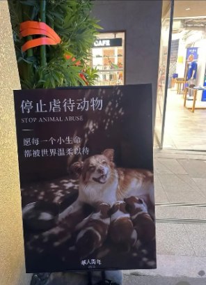 8月9日，有网友发帖称，中国服装品牌“华人青年”近期在线下投放多处广告，持续关注并传播“旺旺事件”