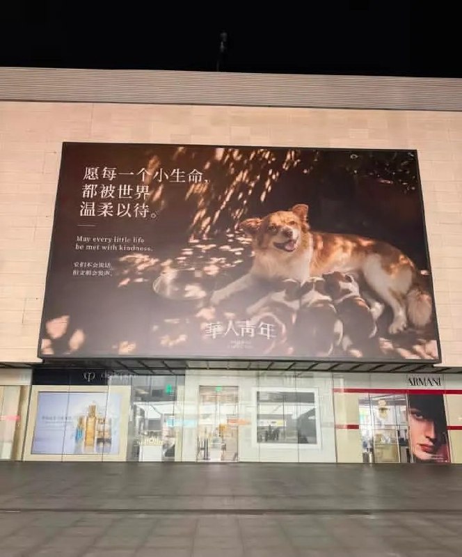 8月9日，有网友发帖称，中国服装品牌“华人青年”近期在线下投放多处广告，持续关注并传播“旺旺事件”