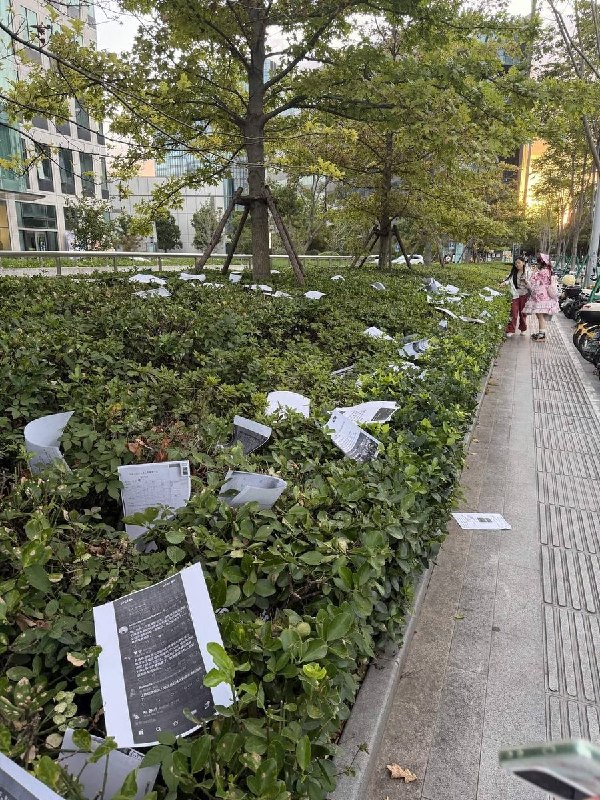网友投稿：近日，上海杨浦区叠纸游戏公司楼下，一名女子到公司楼下维权并扬言跳楼，现场还洒下大量宣传单