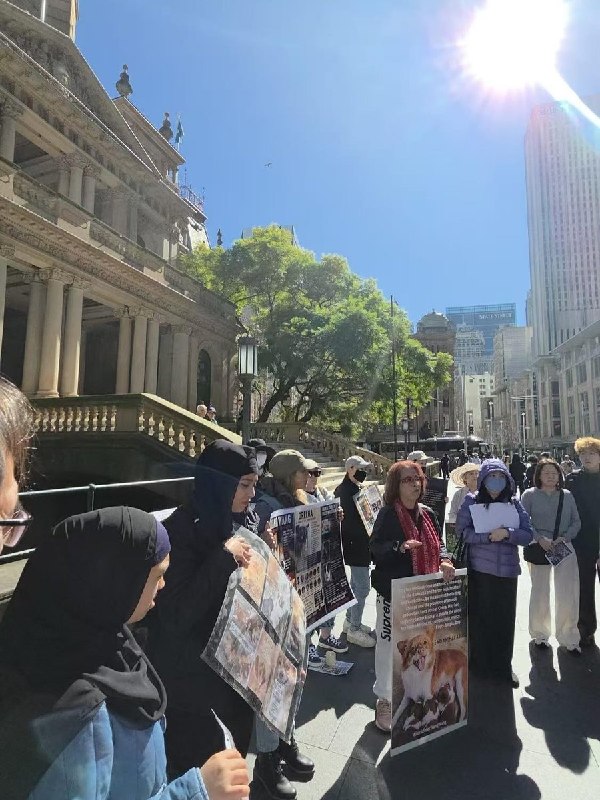 8月22日，澳大利亚悉尼，有民众在悉尼市政厅（Sydney Town Hall）前举行声援“旺旺”的活动