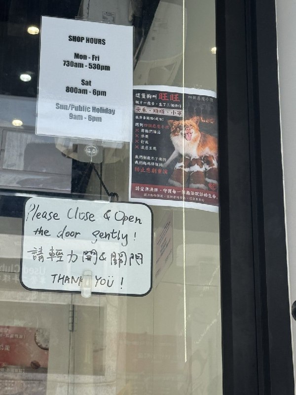 8月8日，有网友在香港上环一家咖啡店发现多张声援“旺旺”的海报和贴纸