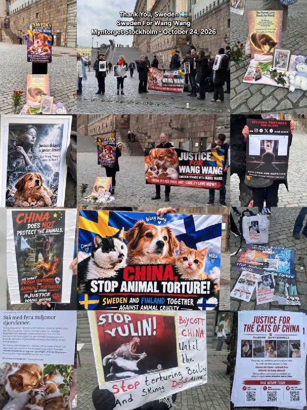 旺旺遇害近四个月，瑞典民众集会促中国反虐待立法，现场出现“抵制中国”标语10月24日，瑞典斯德哥尔摩老城Mynttorget广场，民众为在广东揭阳遭虐杀的流浪母犬“旺旺”及幼犬举行集会，摆放鲜花、蜡烛和纪念照片，举起横幅：“中国，请立即通过反虐待动物法！”现场有人举起“抵制中国”的手写标语，要求停止虐待犬只