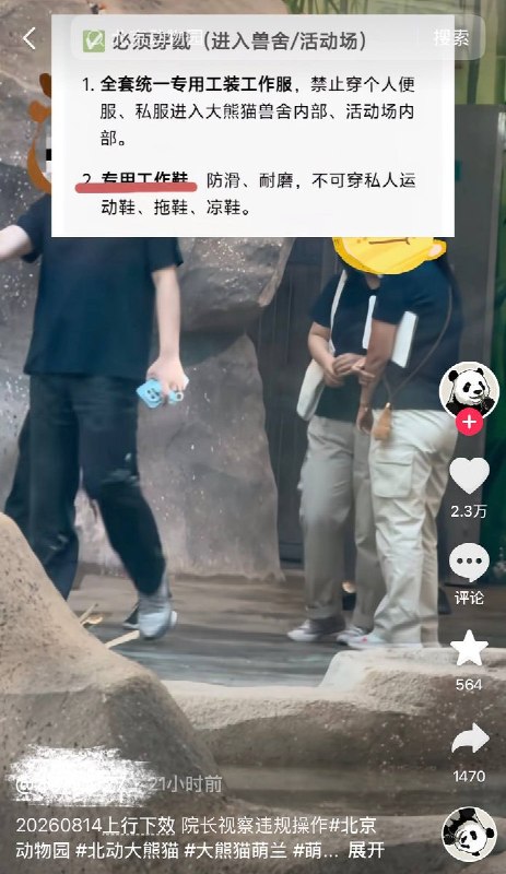 8月14日，北京动物园多名领导进入大熊猫“萌兰”的室内活动场进行视察