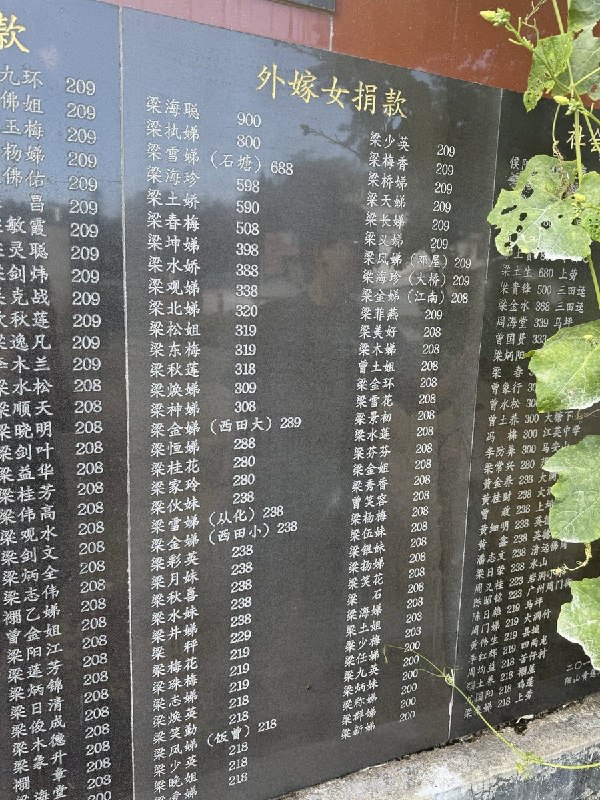 “娣娣娣娣娣娣娣娣娣娣”9月11日，有网友晒出一张捐款碑照片：“外嫁女捐款”栏目下，密集出现“雪娣”“金娣”“水娣”“天娣”等女性名字，旁边逐一记录捐款数额，可见金额从200到900不等
