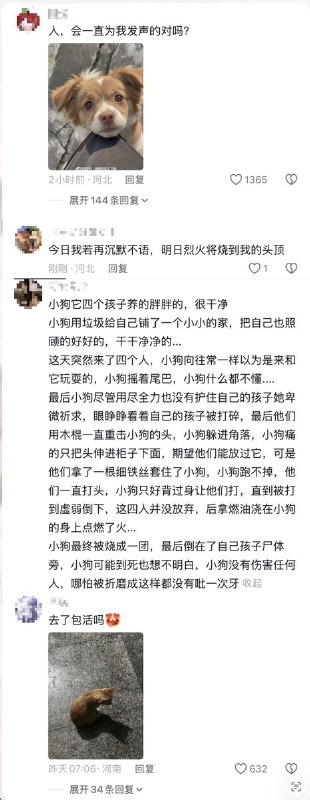 “今日我若再沉默不语，明日烈火将烧到我的头”7月19日，遭虐杀的流浪小狗“旺旺”事发地的揭阳文旅抖音号”揭阳市旅游文旅“开放评论区