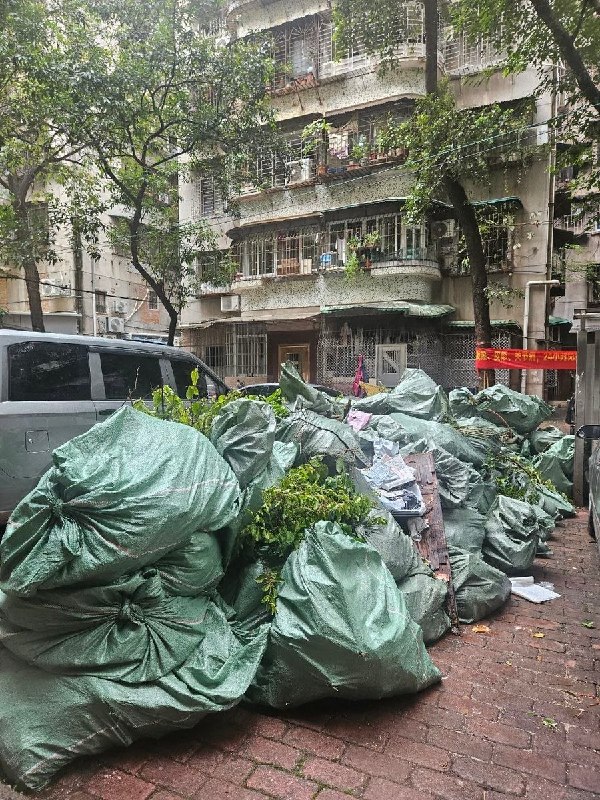 防蚊灭蚊，先把几十年的花园“灭”了近日，广东省广州市当地开展第二轮天台整治行动