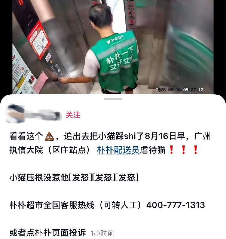 8月16日，广州越秀区执信大院（区庄站点）朴朴超市配送员虐待猫