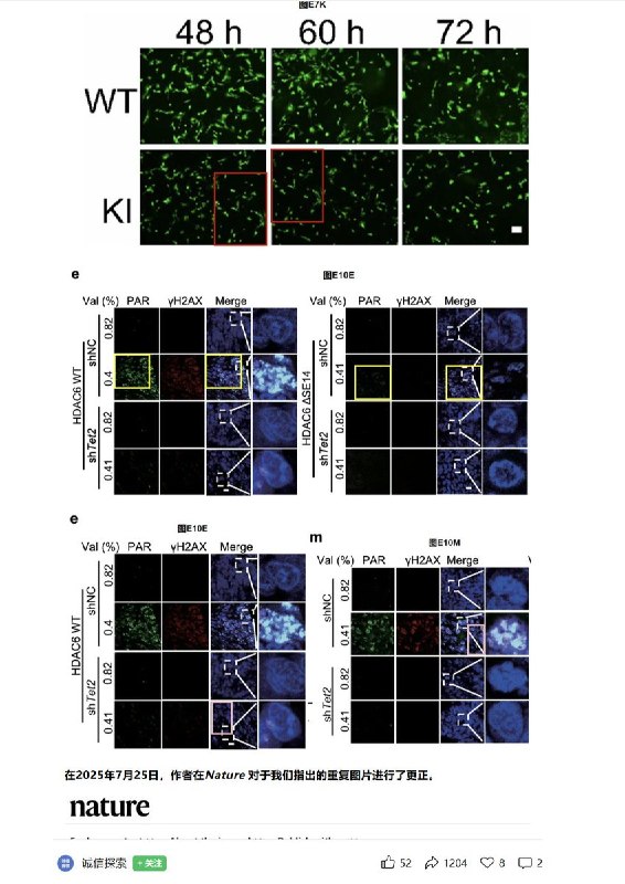 4月9日，多名博主曝光同济大学王平教授花费上百万经费写的nature论文，出现多处明显的造假