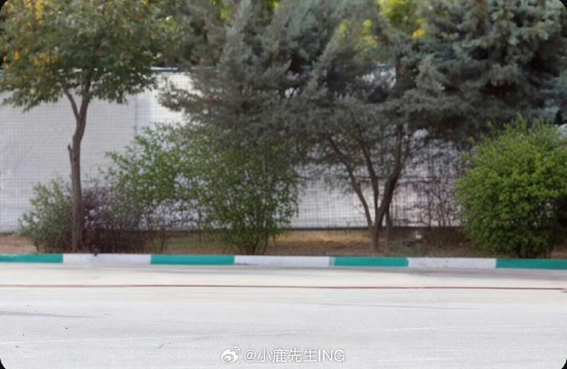 15天前伊朗开战前的领导人合影，开战 15天后，只剩下了树木