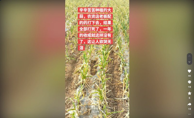 3月25日至4月2日，河南省周口市川汇区