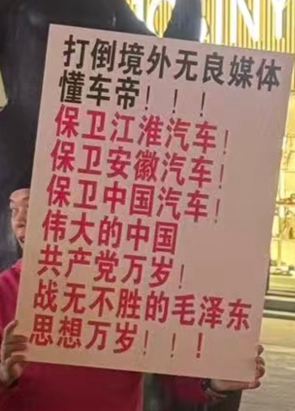 10月9日，有网友在合肥市淮河路步行街排到一男子举着牌子，上面写着“打倒境外无良媒体懂车帝”等标语