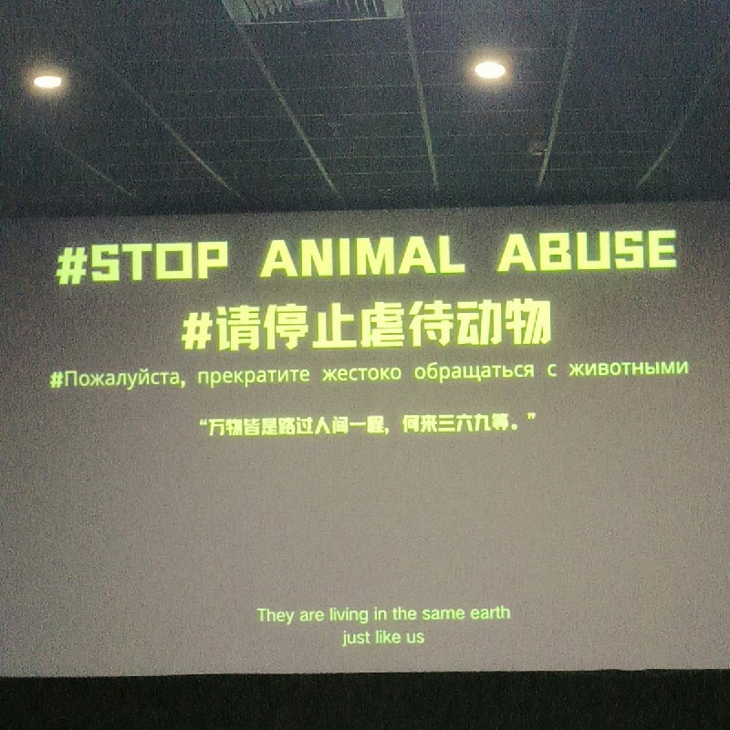 8月18日，有网友发帖称，自己在安徽一家电影院观看电影时，发现映前广告正在播放反虐待动物公益内容声援支持旺旺
