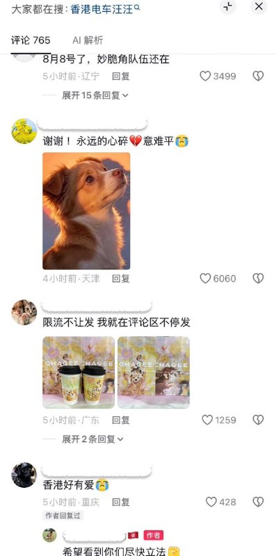 8月8日，香港网友发视频支持“反对虐待动物立法”