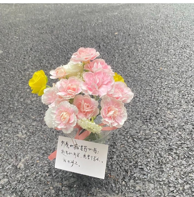 3月17日，橘子洲大桥