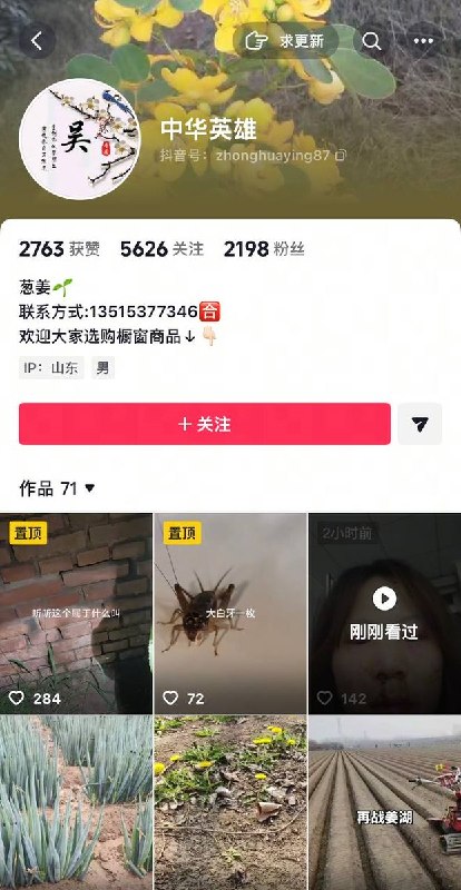 7月2日，山东济宁百亩大葱基地