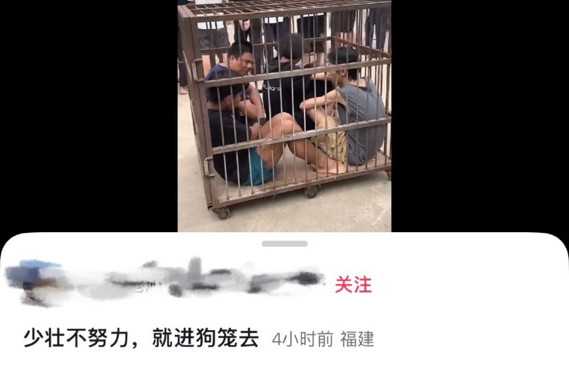 8月3日，一ip为福建福州平潭县的博主发布一段名为“少壮不努力，就进狗笼去”的视频