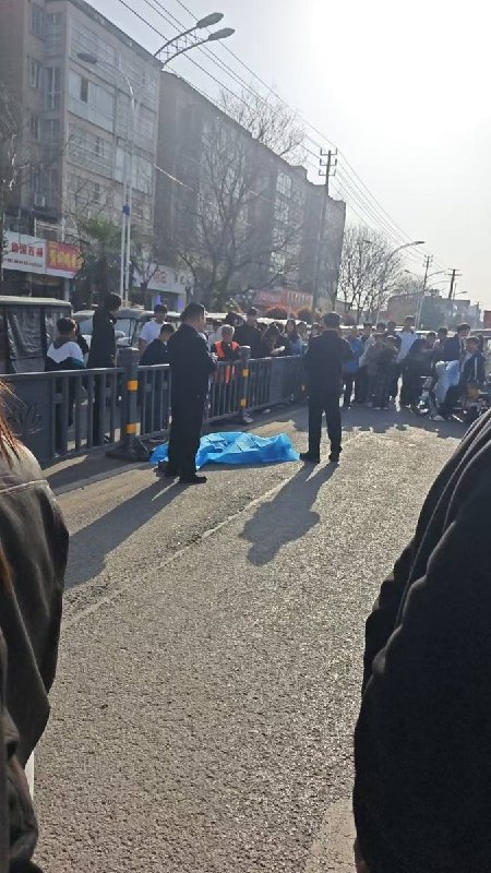 3月28日，河南项城