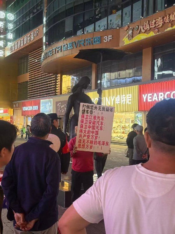 10月9日，有网友在合肥市淮河路步行街排到一男子举着牌子，上面写着“打倒境外无良媒体懂车帝”等标语