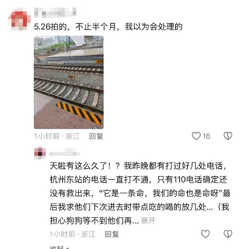近日，有网友称，杭州东站 25 至 28 站台附近有一只黄色流浪狗长期滞留在铁轨站台夹缝区域图片显示，这只狗身体明显消瘦，肋骨清晰可见，活动区域靠近铁轨和护栏，存在安全风险网友称，自己早在 5 月 26 日就拍到过这只狗，“不止半个月”也有人表示曾尝试联系杭州东站电话但未能接通由于铁路站台属于封闭管制区域，普通市民无法自行进入救助，网友希望能找到铁路站方、车站派出所、铁路公安、动物救助组织等可对接渠道，尽快确认这只狗的现状并实施安全救助