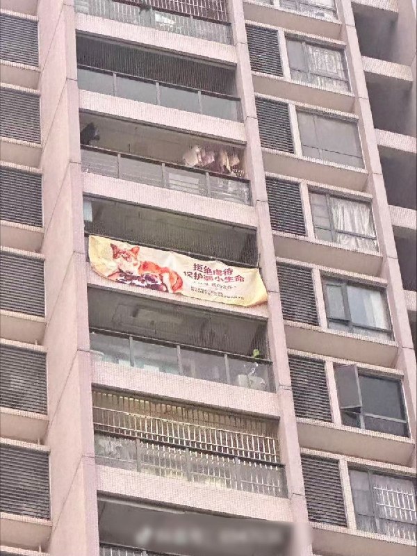9月6日，辽宁大连，有人在街头举起反虐待动物横幅