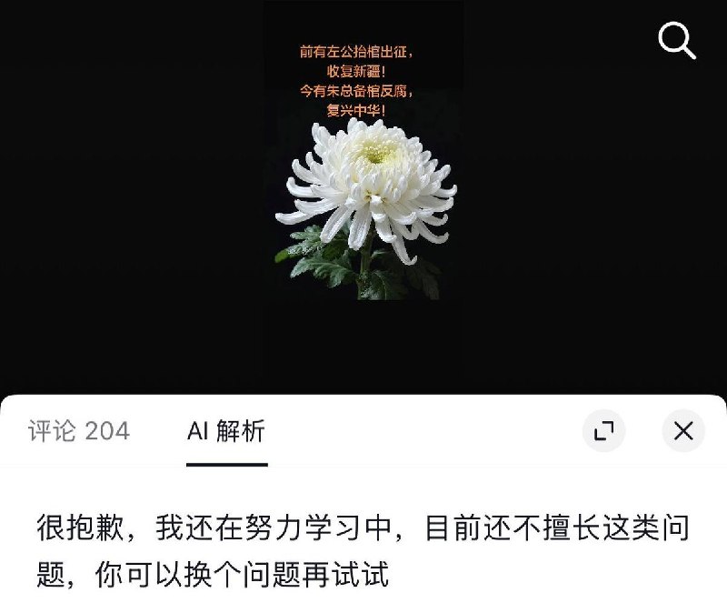 8月13日，墙内社交平台上出现多起网友发布花束、蜡烛照片等悼念朱镕基的动态