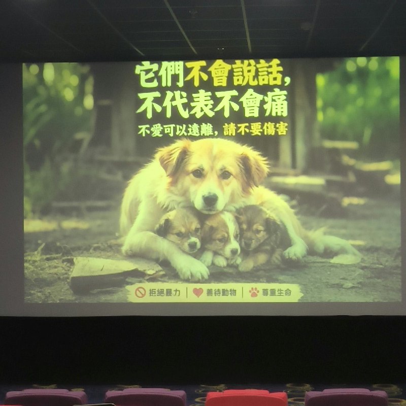 8月18日，有网友发帖称，自己在安徽一家电影院观看电影时，发现映前广告正在播放反虐待动物公益内容声援支持旺旺