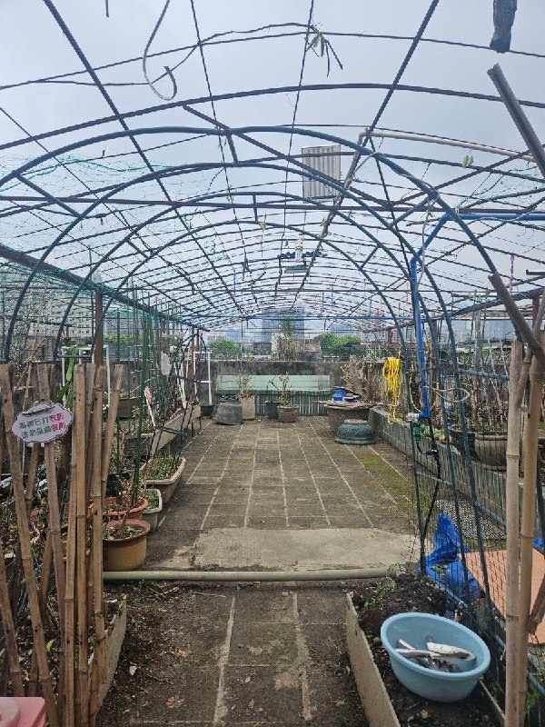 防蚊灭蚊，先把几十年的花园“灭”了近日，广东省广州市当地开展第二轮天台整治行动