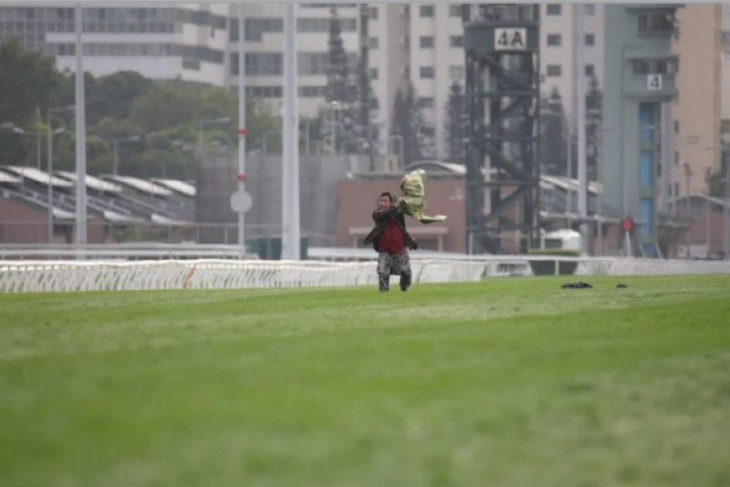 查看原文📝 引用推文:12月14日，香港沙田赛马场