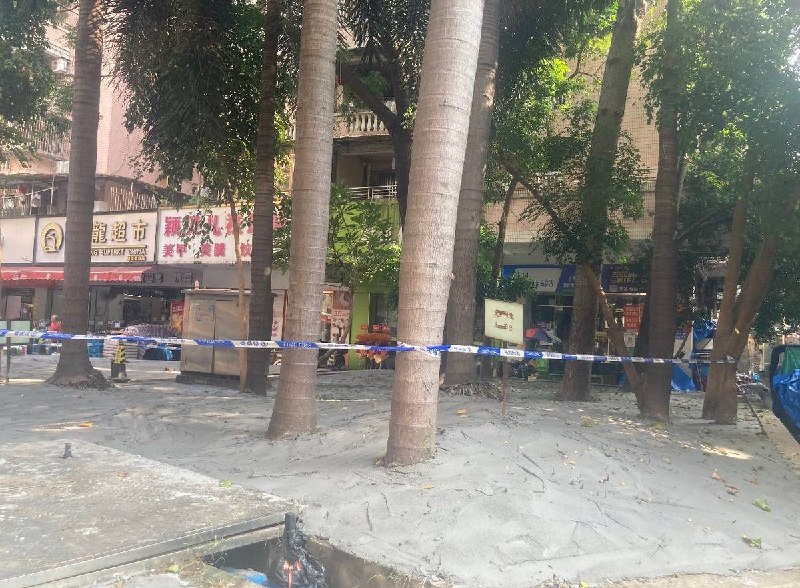 “长点脑子吧”8月15日，广州多地居民反映，在白云区、荔湾区等地，有社区为了防止积水孳生蚊虫，将绿化带及树木根部的土坑直接用水泥硬化封死，甚至连写有“爱护绿化 ，人人有责”的牌子旁也铺满了水泥