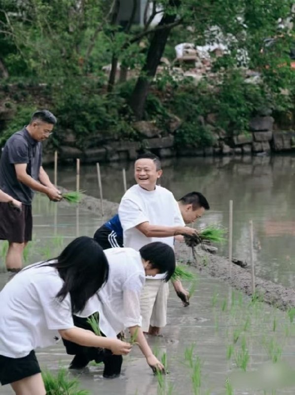 马云时隔三个多月再次露面，6月22日，有阿里内网员工爆料，阿里巴巴合伙人、高德董事长刘振飞在阿里内网发布了一篇名为《手里有秧，才能确保未来有粮》的帖子，分享了在杭州与马云等人插秧的故事，并附上照片