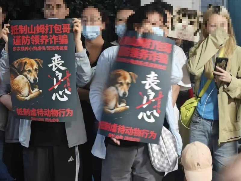 网友投稿：6月8日，重庆很多志愿者和市民 在虐狗者“山姆打包哥”家楼下聚集、抗议虐狗行为，支持动物保护立法查看原文网友投稿：6月8日，重庆很多志愿者和市民 在虐狗者“山姆打包哥”家楼下聚集、抗议虐狗行为，支持动物保护立法查看原文