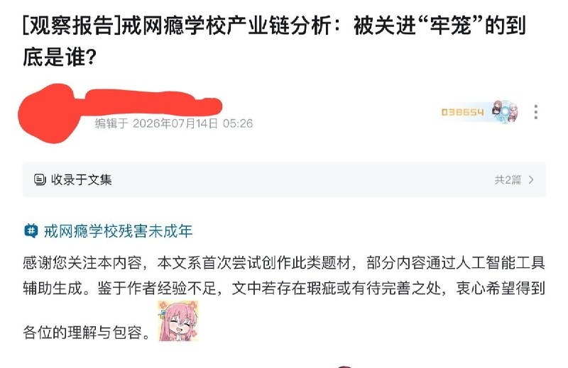 网友投稿：近日，一篇关于中国“戒网瘾学校”产业链的调查文章引发关注