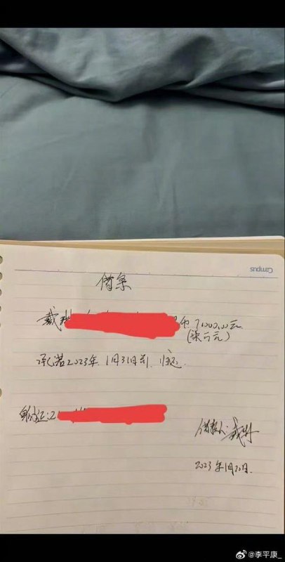 12月15日，被曝遭前中国国家足球队球员戴琳拖欠借款的山东球迷潘硕因病去世，其姑姑在社交媒体上证实了这一消息，并公开指责戴琳长期欠款不还，且在潘硕病重期间对其进行了语音谩骂和压力施加，给当事人造成了巨大心理负担