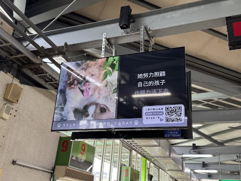 【广东揭阳小狗旺旺】7月27日，有台湾网友发布照片称，善心人士出资在中港转运站投放电子屏广告，声援遭虐待的狗妈妈旺旺及其三只幼犬