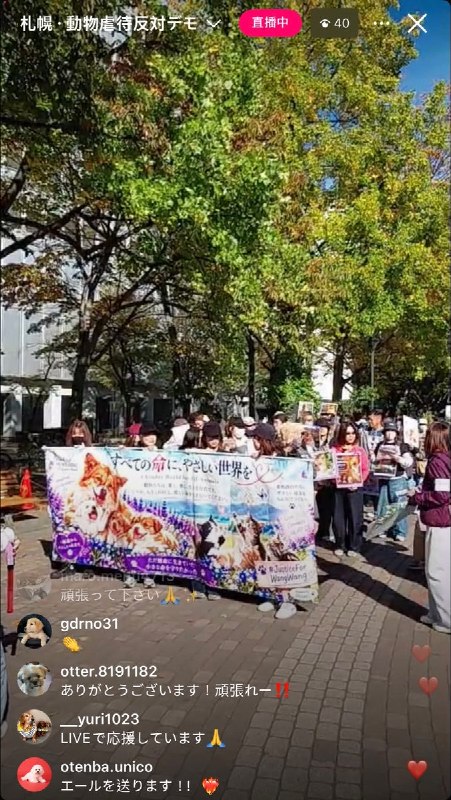日本札幌民众集会声援“旺旺”，横幅呼吁“让世界善待所有生命”10月18日，日本札幌民众聚集，声援广东揭阳遭虐杀的流浪母狗“旺旺”及其幼犬