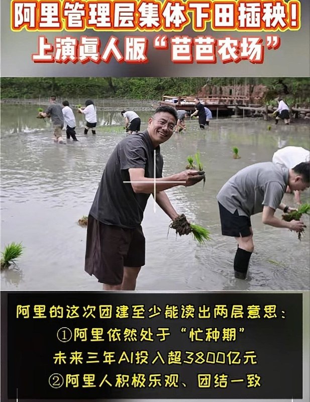 马云时隔三个多月再次露面，6月22日，有阿里内网员工爆料，阿里巴巴合伙人、高德董事长刘振飞在阿里内网发布了一篇名为《手里有秧，才能确保未来有粮》的帖子，分享了在杭州与马云等人插秧的故事，并附上照片