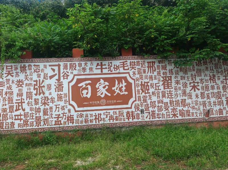8月15日，山东网友晒出了一张枣庄市龟山望龙洞风景区拍摄到的百家姓石壁，上面的“习”姓独占C位，比其他姓氏字迹大很多，评论区网友集体以表情包无言回应
