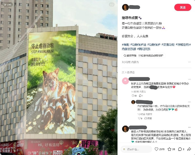 【揭阳虐狗事件】近日，据小红书相关话题讨论，各地动保行动者和商户以户外数字大屏、平面广告等形式，投放以“旺旺”为主题的公益海报，呼吁关注揭阳虐狗事件、反对虐待动物