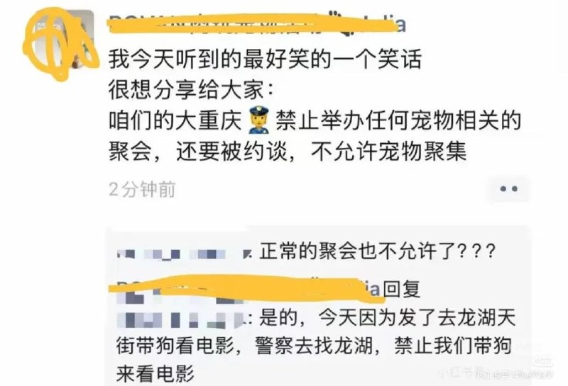 6月11日，多名重庆网友在社交平台发帖称重庆已禁止任何与宠物有关的聚会